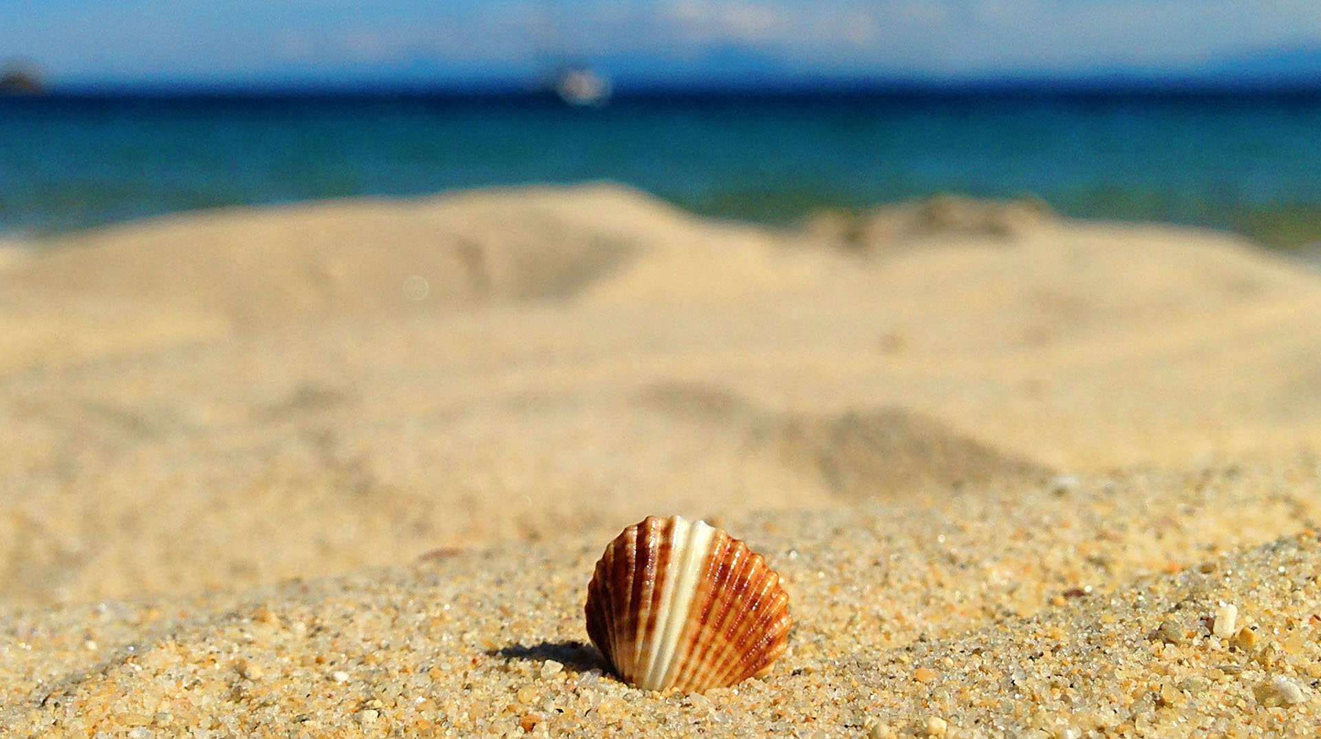 Sand view